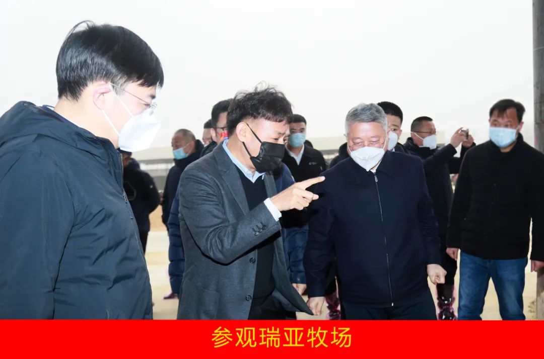 新年開新局 合作促發(fā)展丨佳木斯市委常委、副市長閆志剛一行蒞臨花花牛乳業(yè)集團及佳田企業(yè)考察座談