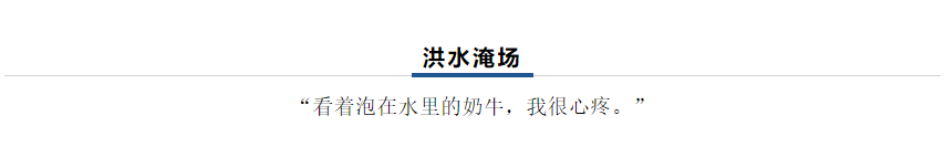 【乳報(bào)·聚焦】“豫”難而上的中原牛人“太中了”！