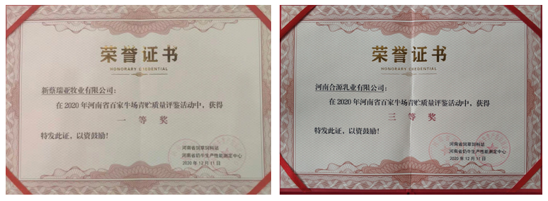 榮譽(yù) | “百家牛場青貯質(zhì)量評鑒活動”花花牛新蔡瑞亞牧業(yè)、河南合源乳業(yè)分別榮獲一、三等獎