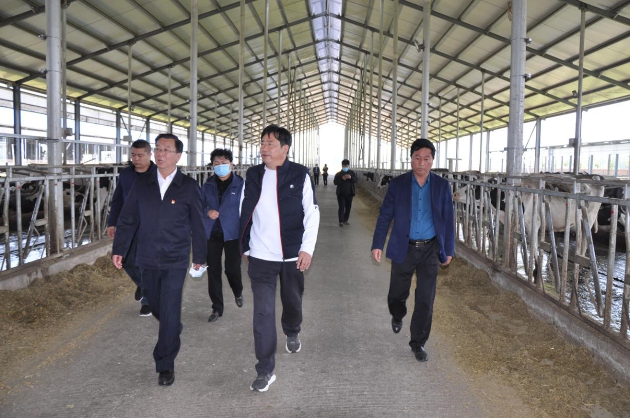 商丘市委常委、宣傳部部長(zhǎng)王全周一行蒞臨睢縣瑞亞牧業(yè)有限公司調(diào)研