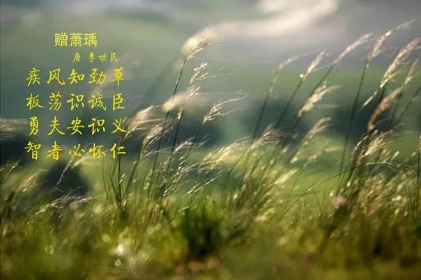 花花牛 | 疾風(fēng)來(lái)臨，你是不是勁草？
