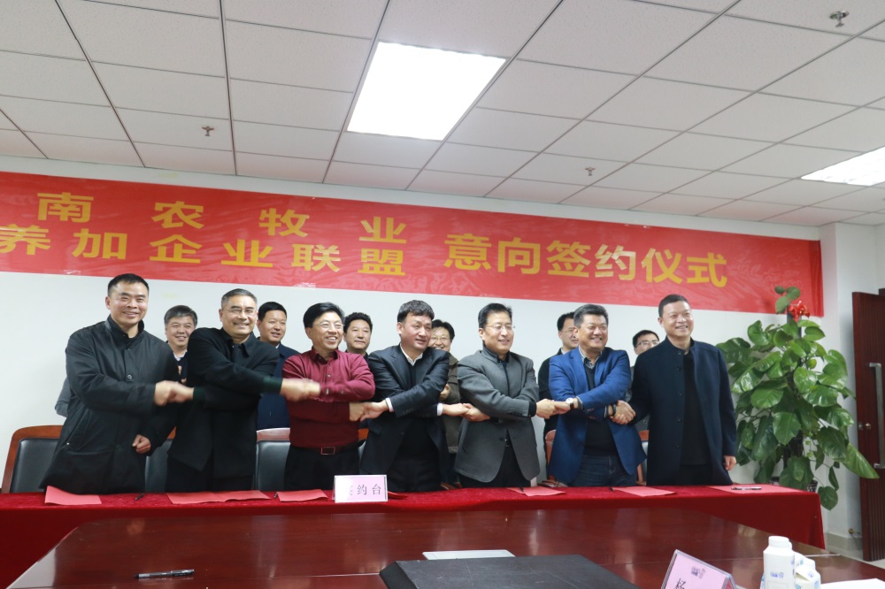 涉農(nóng)企業(yè)強(qiáng)強(qiáng)聯(lián)合，“抱團(tuán)取暖”共迎企業(yè)發(fā)展的春天
